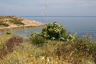 photo_